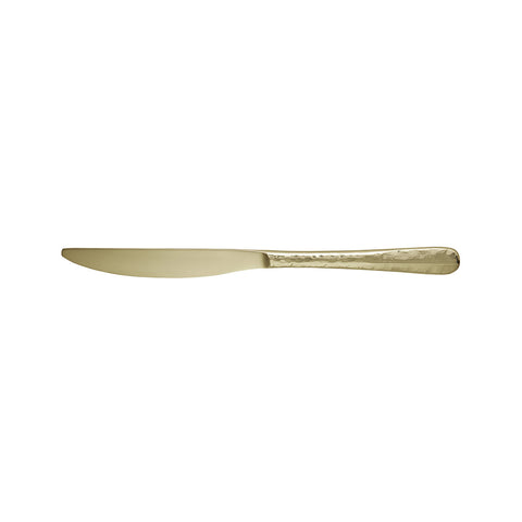 158172 Amsterdam Champagne Cutlery Table Knife 240mm